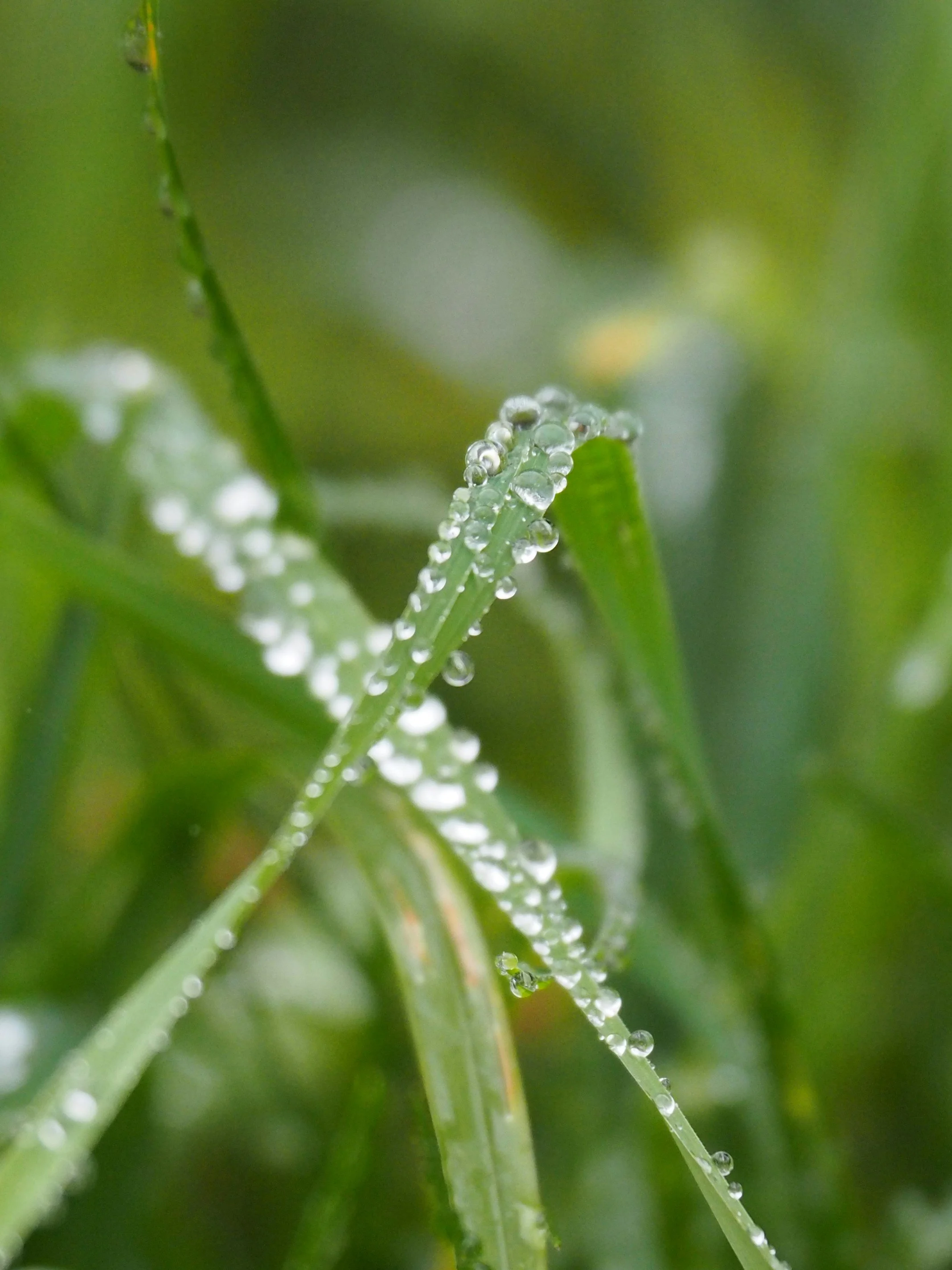 2026: eclipse season one.