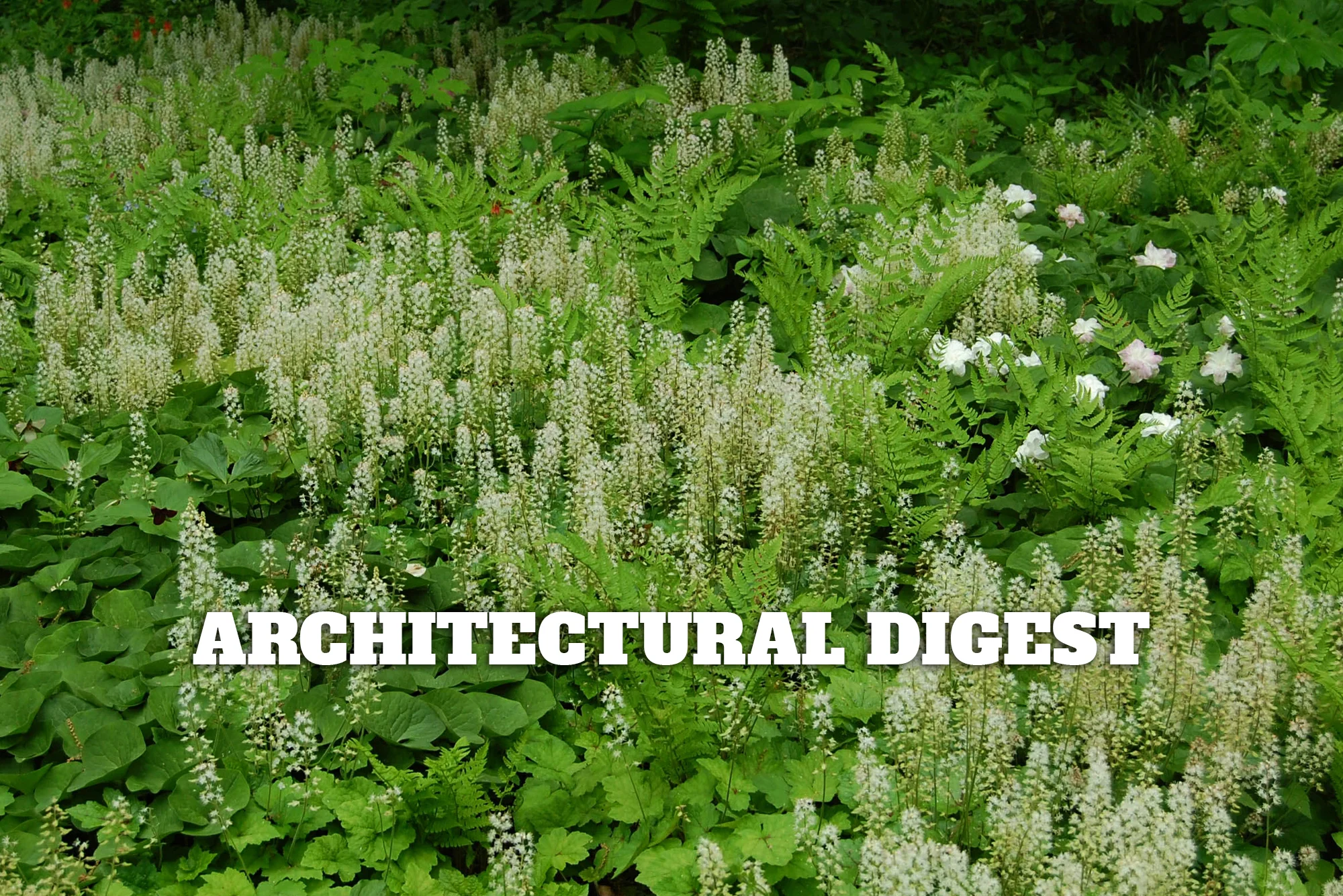 " A New Book Calls for a Revolution in Garden Design" by Lisa for Architectural Digest . The authors of Planting in a Post-Wild World make the case for breaking with horticultural tradition to create sustainable landscapes that are no less beautiful