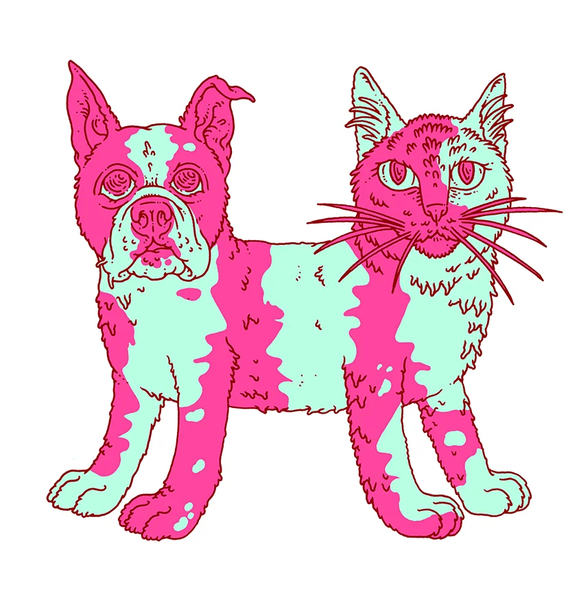 NYTCATDOGfinalweb.jpg