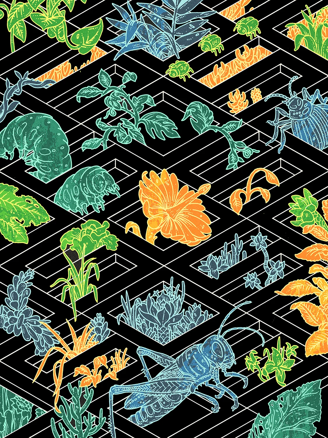 Nautilus Magazine. Art Director Len Small. Click here for article.