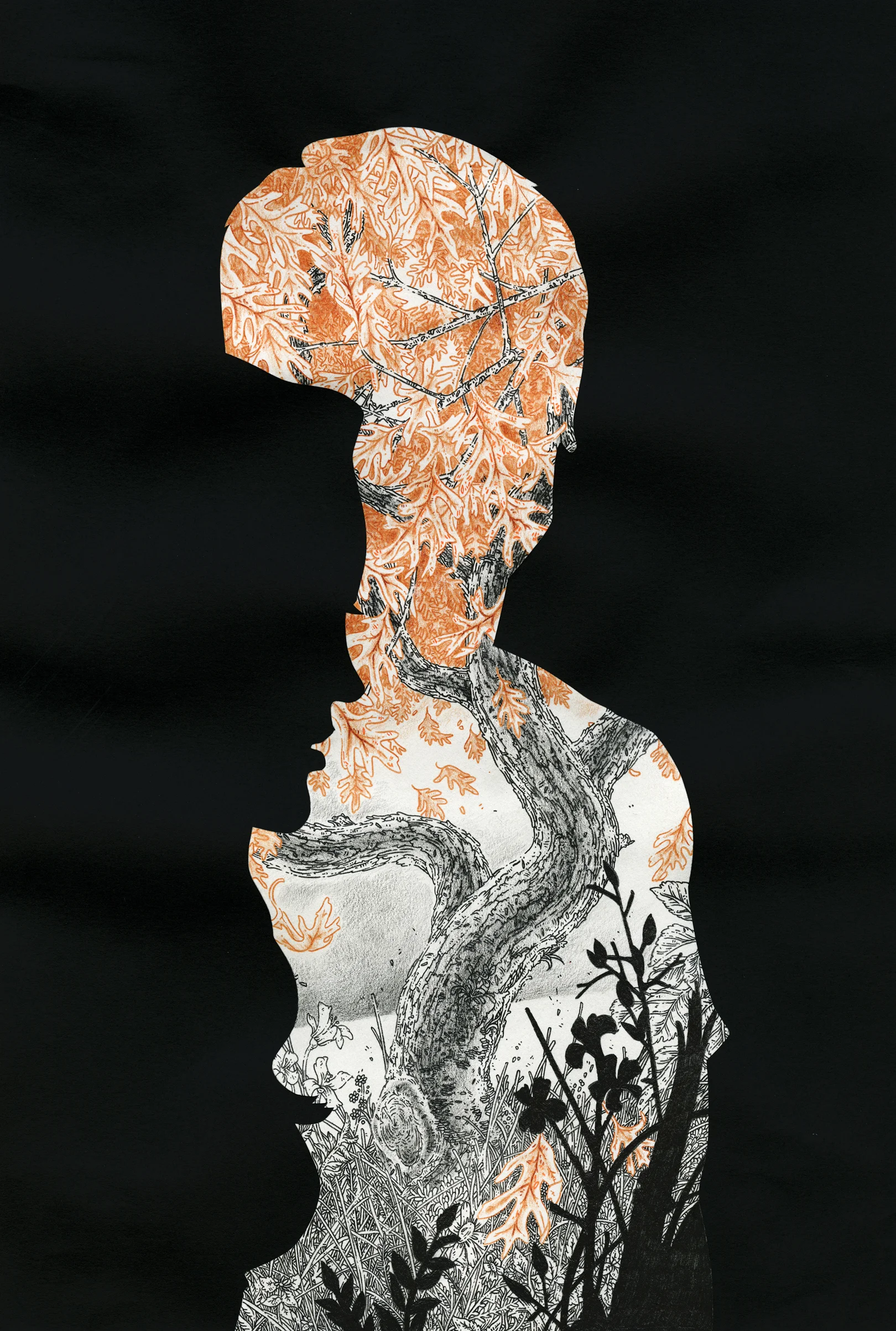 Elmer's Giant. 2009. 