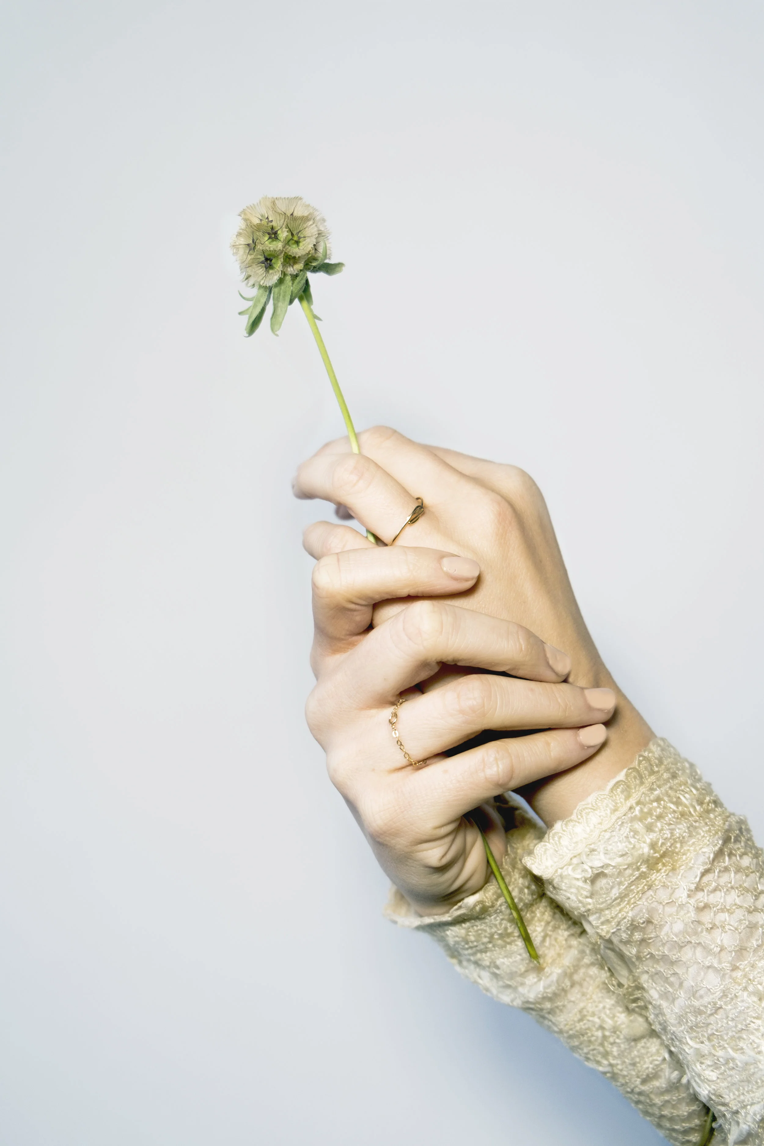 delicate chain ring