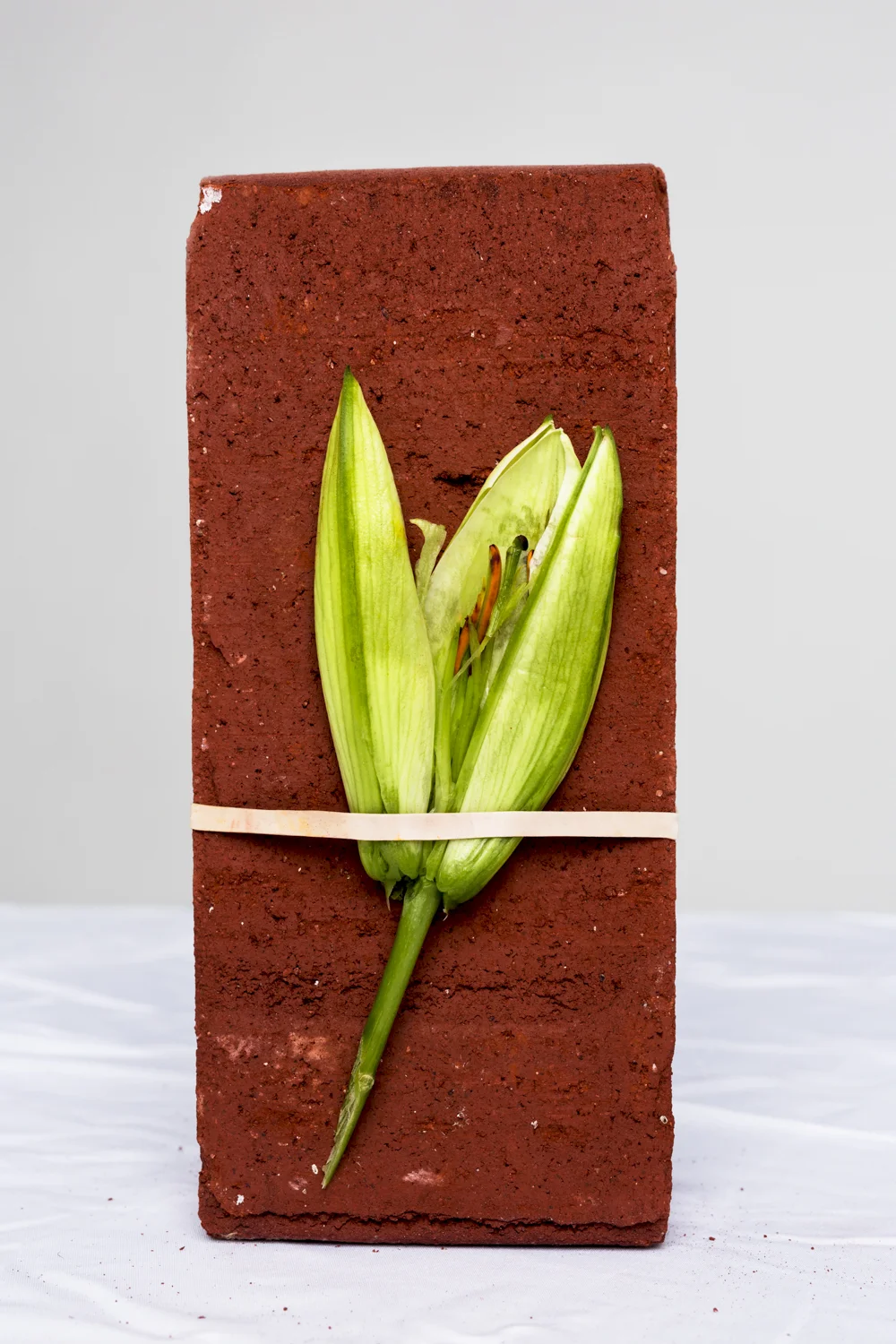 Crushed Bud, 20x30", digital print