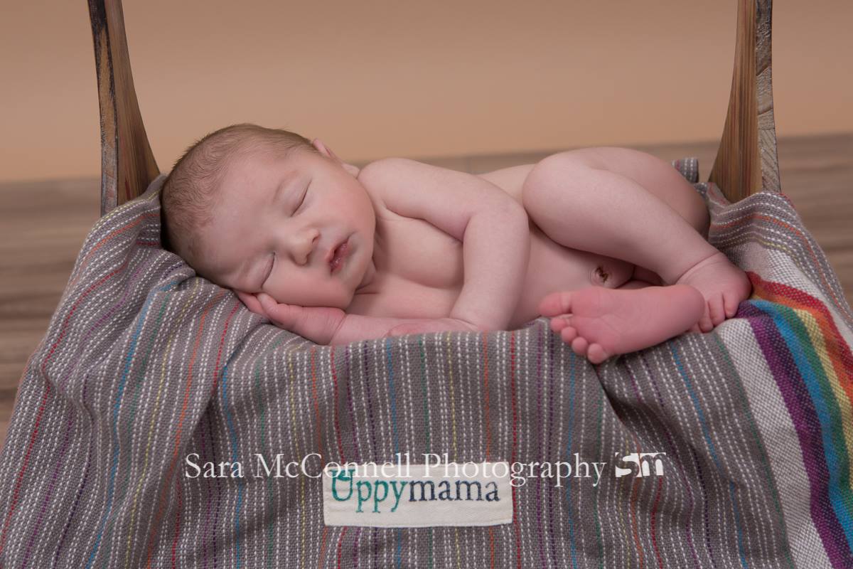 Photo by Sara McConnell https://www.saramcconnell.ca/
