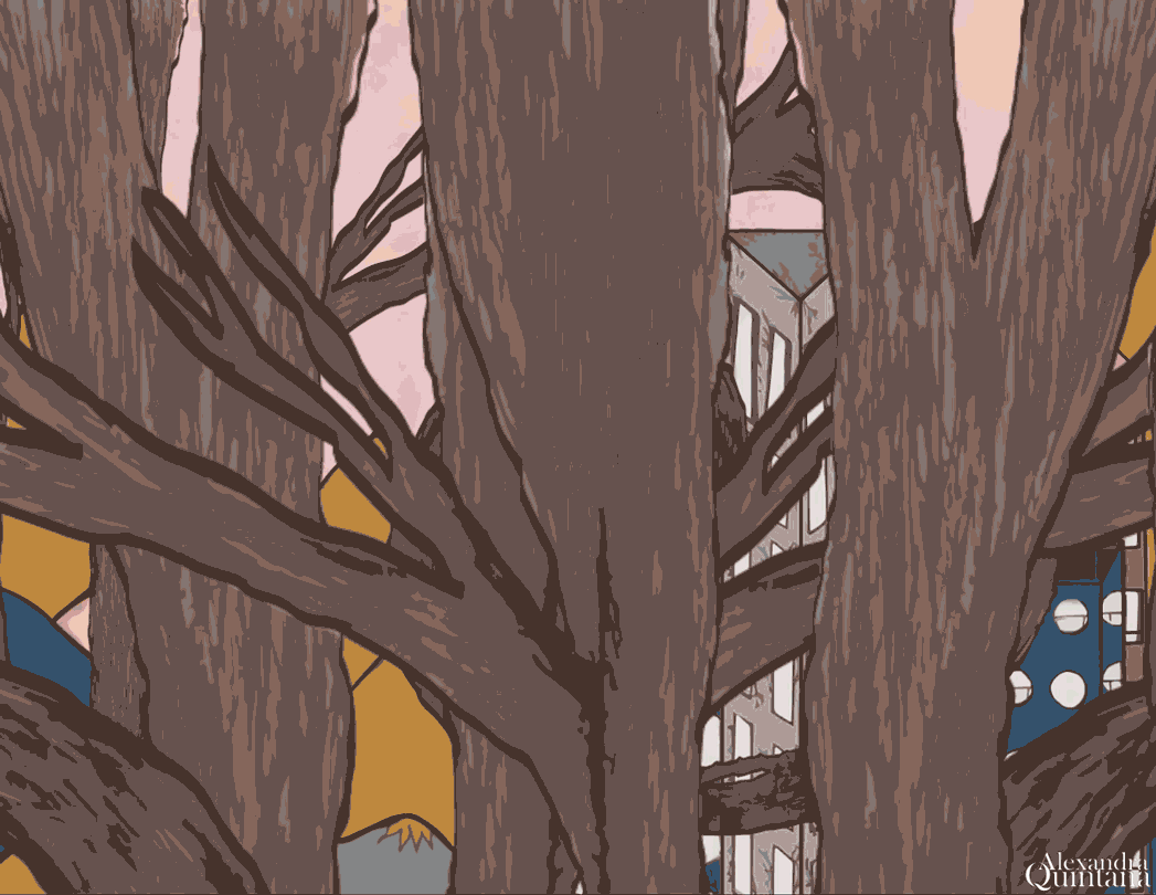 Hidden Cities