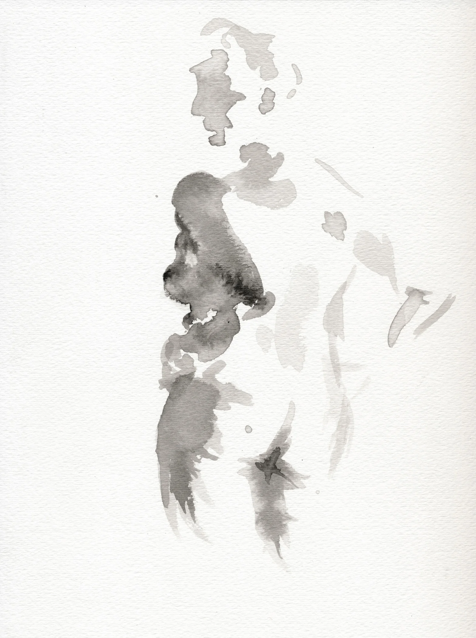   Ink Model Study  9"x12", ink on watercolor paper 2015 