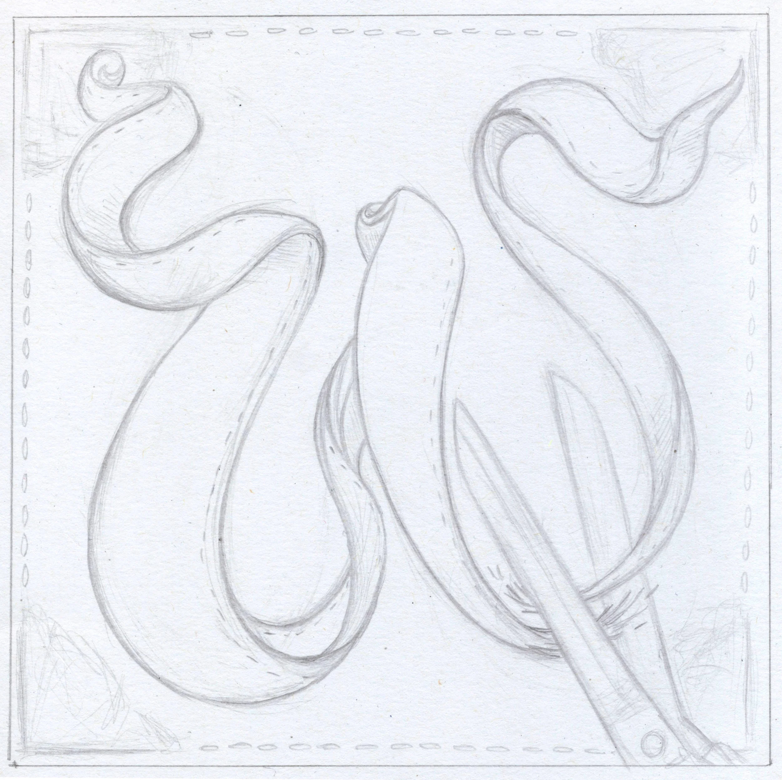   ‘Type Fight:’ W (sketch) graphite, 2017  