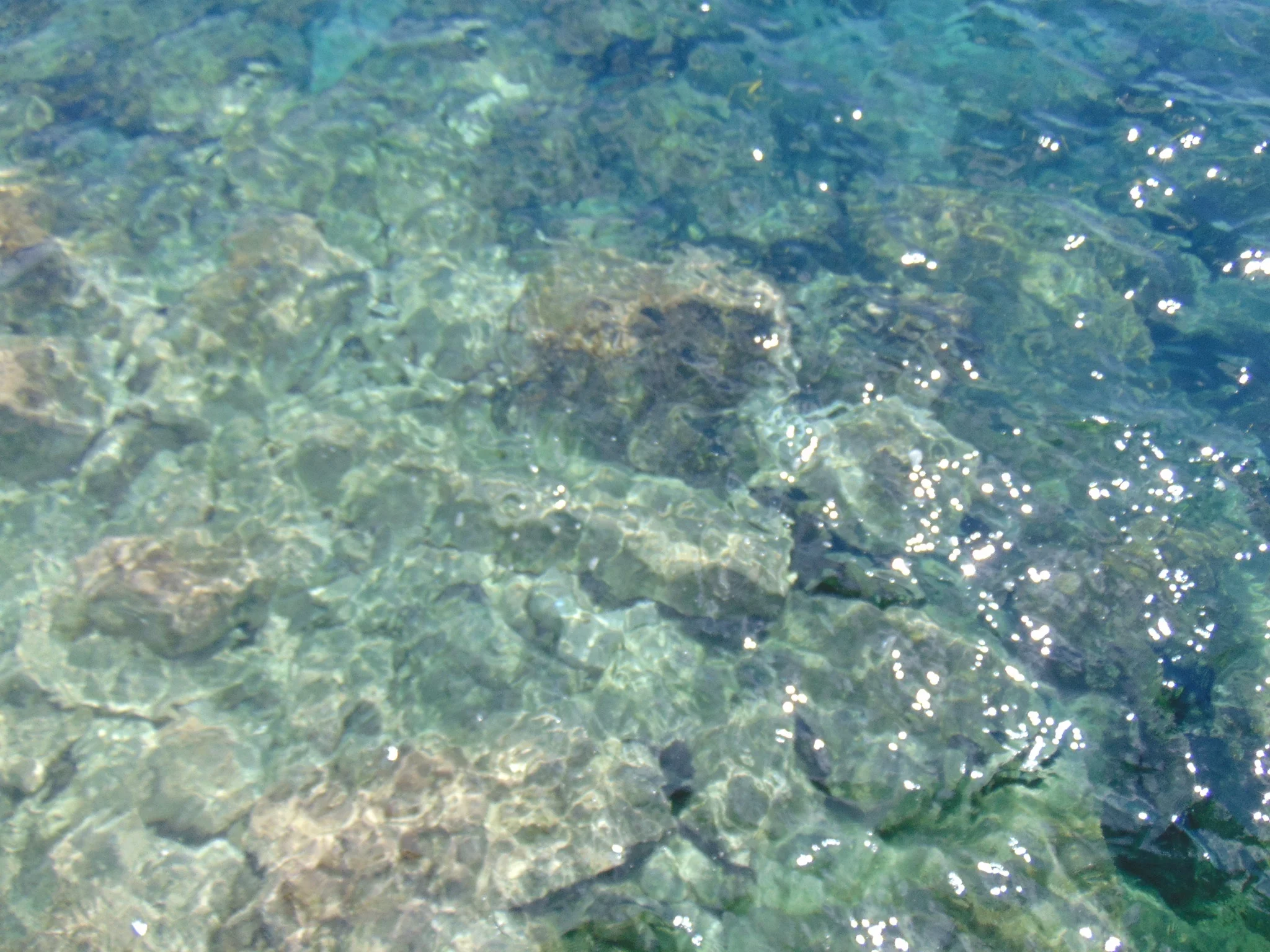 IMG_0021.JPG