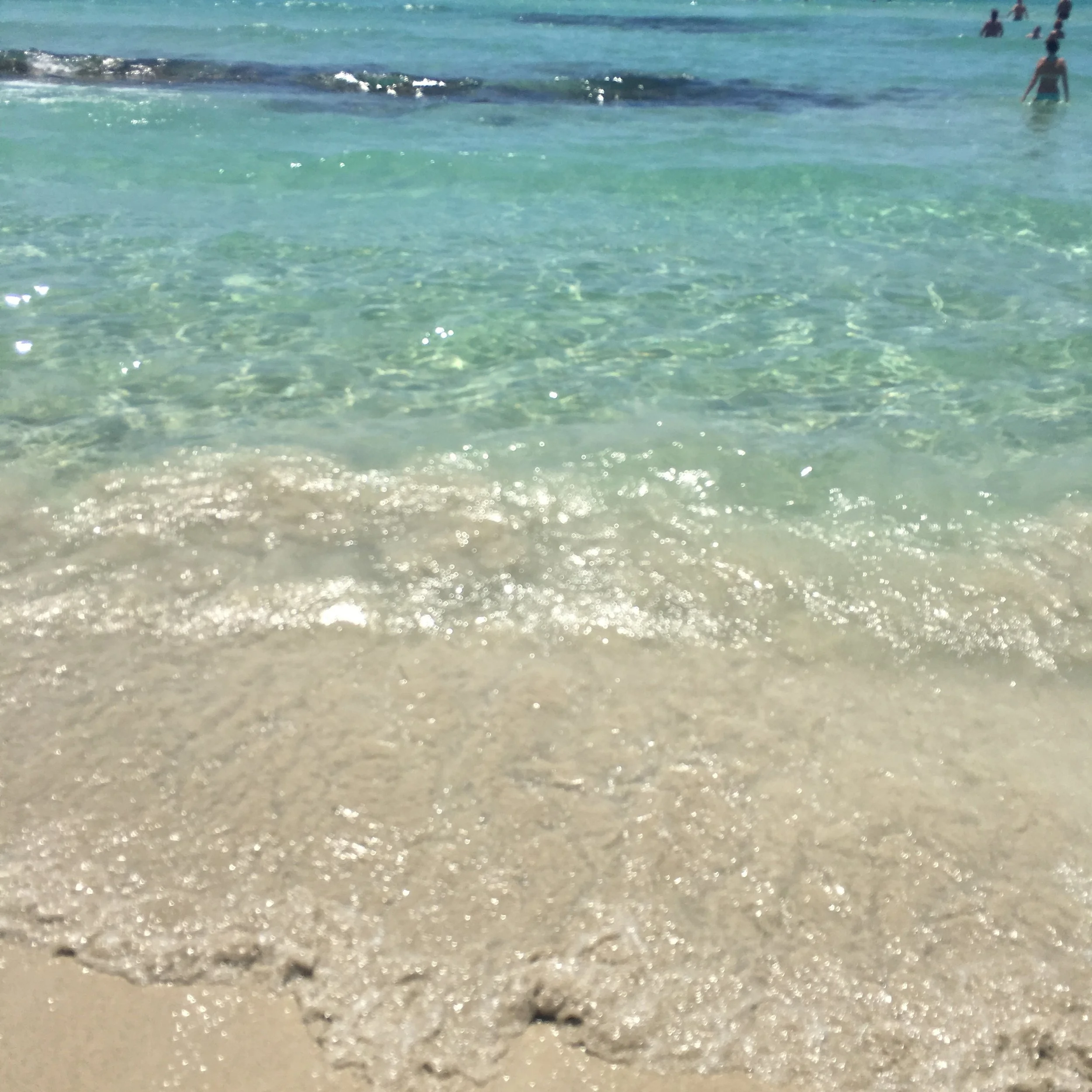 IMG_6627.JPG