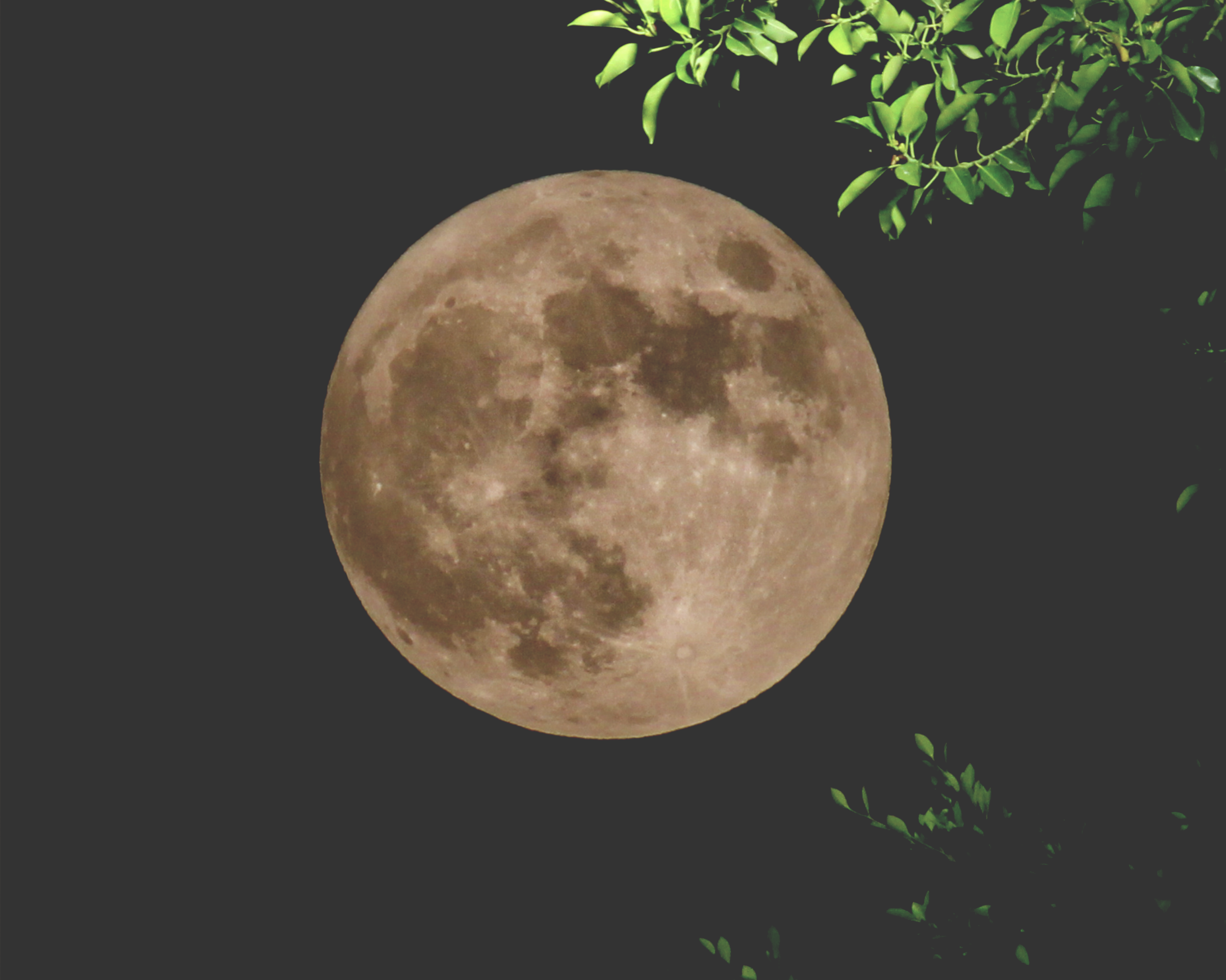 The Beaver Supermoon: Nature’s Reminder of Rhythm and Rest