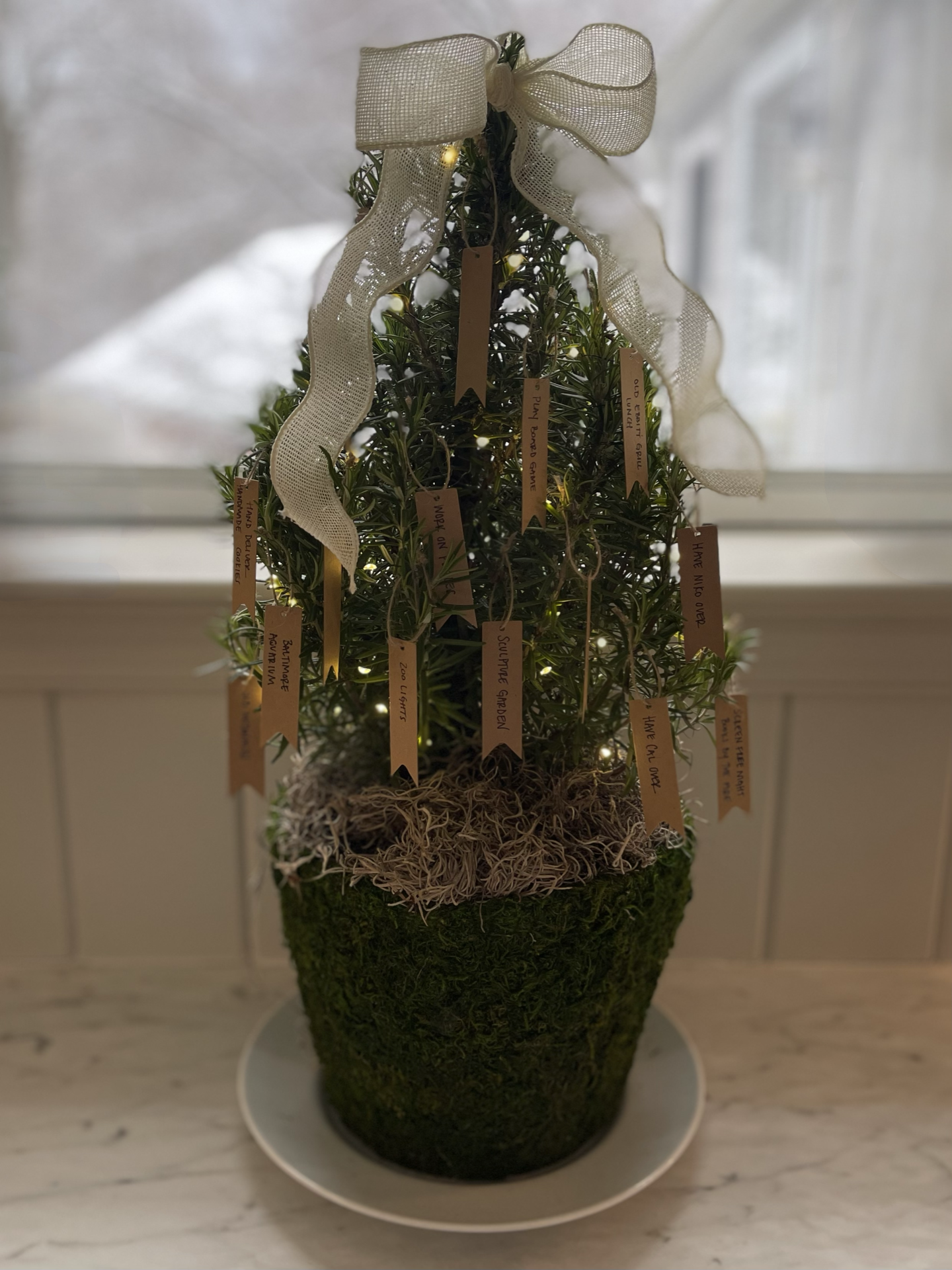 Rosemary Hope Trees: A Montessori-Inspired Winter Ritual for Families