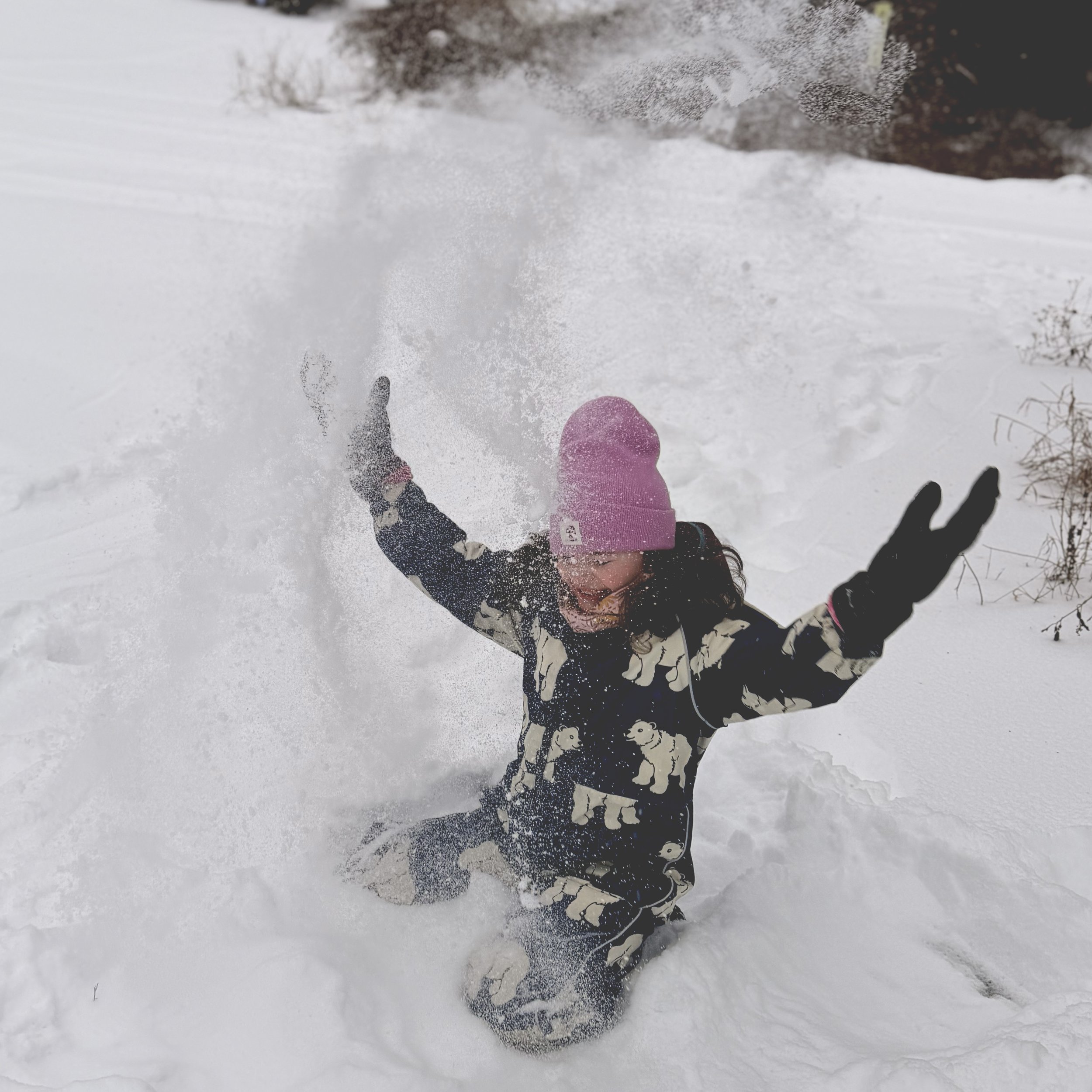 Nature Sets the Pace