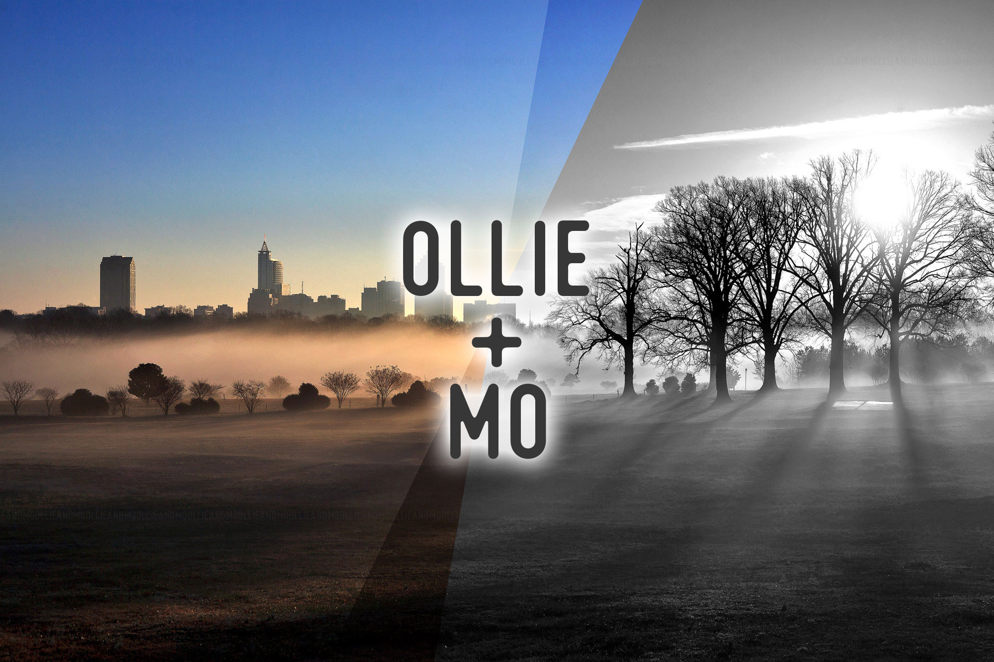 OMO.jpg