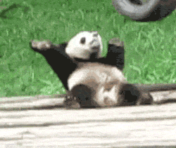 8.gif