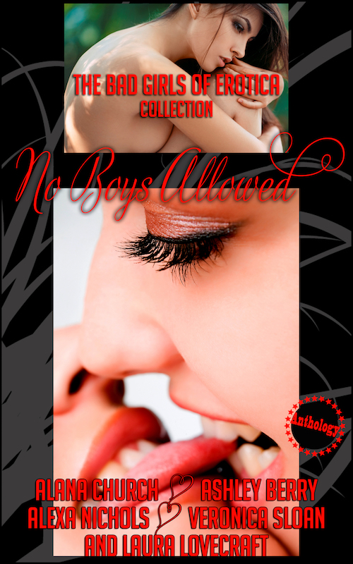No Boys Allowed: A 5 Book Lesbian Anthology