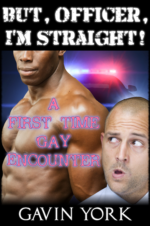 But, Officer, I'm Straight!
