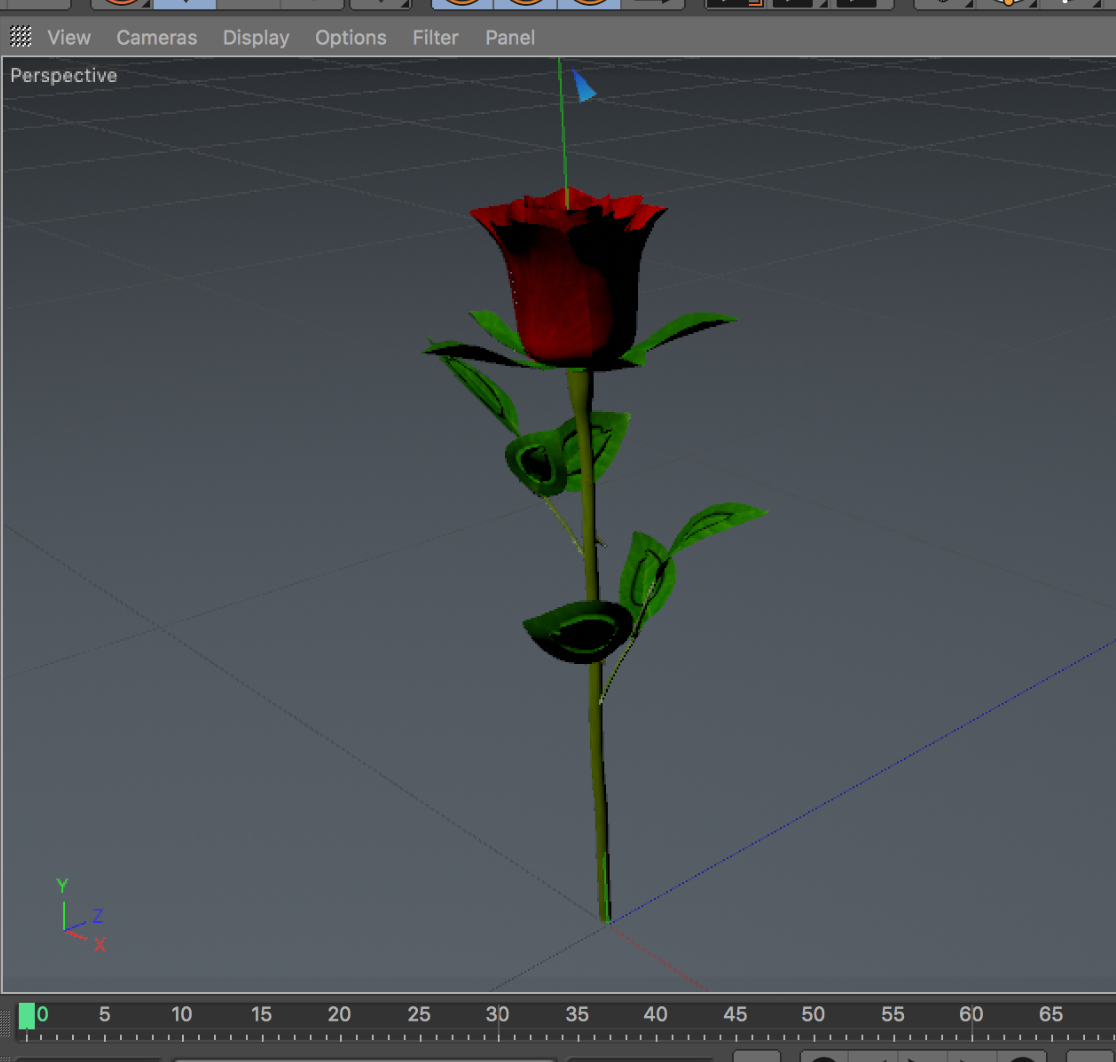 A rose I created using Cinema-4D