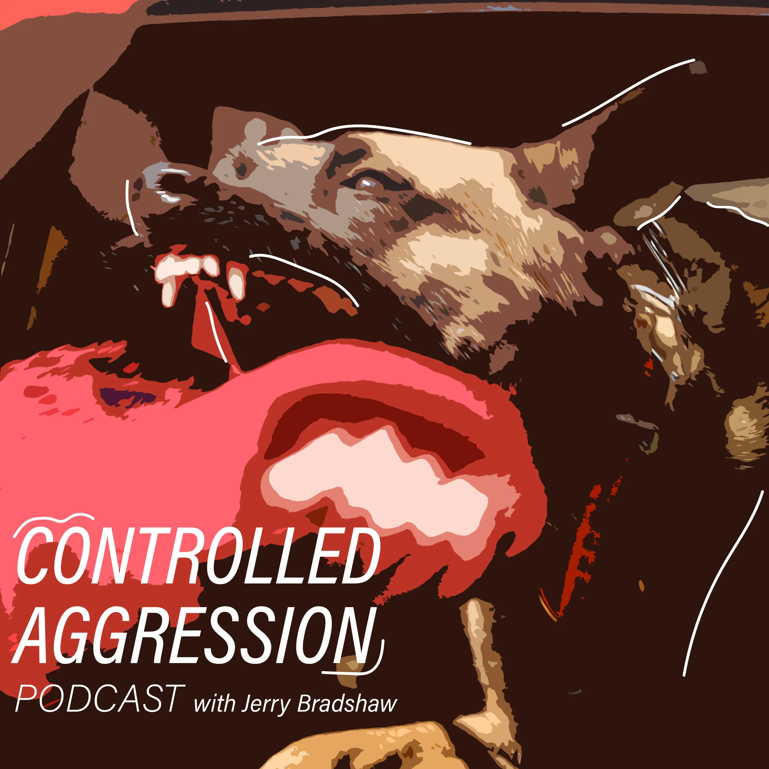 ControlledAggression_JerryBradshaw.jpg