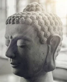 april buddha head.jpeg