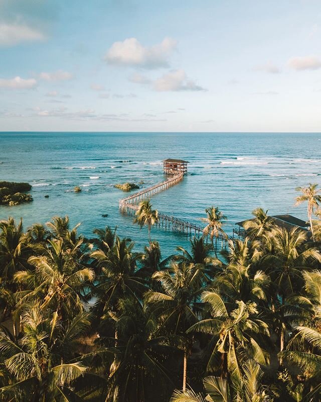 Golden hour at Cloud 9 🌞💫🌴 〰️ :::::
This place is usually BUSTLING. As the number one surfing spot in the Philippines, you can almost always see surfers out on those waves. I find it amazing to watch and I usually end up mesmerised, watching as su