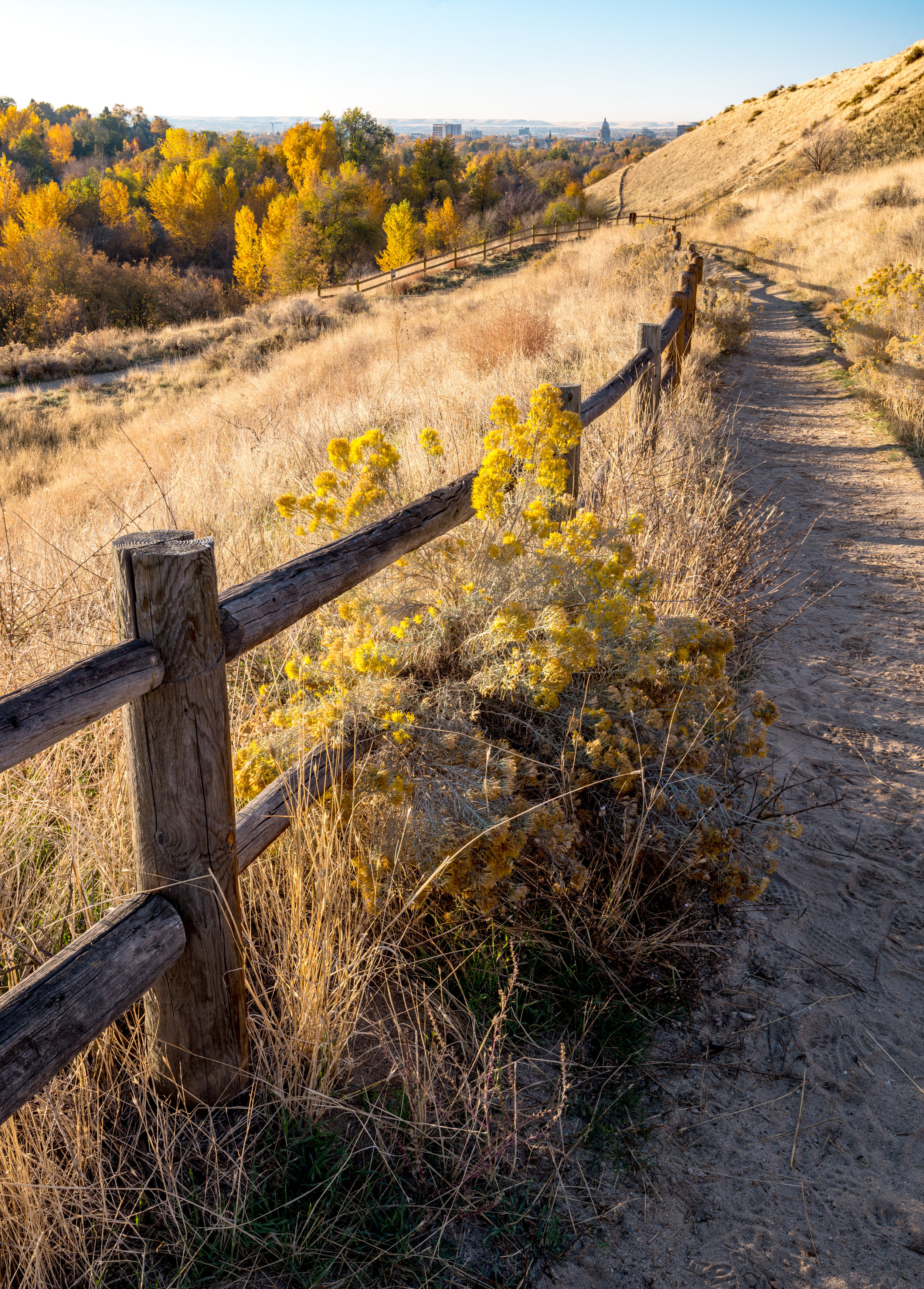Hiking trail located in the Boise foothills. Wooden fence lined with yellow brush and trees. Commonly walked by 208.properties employees.