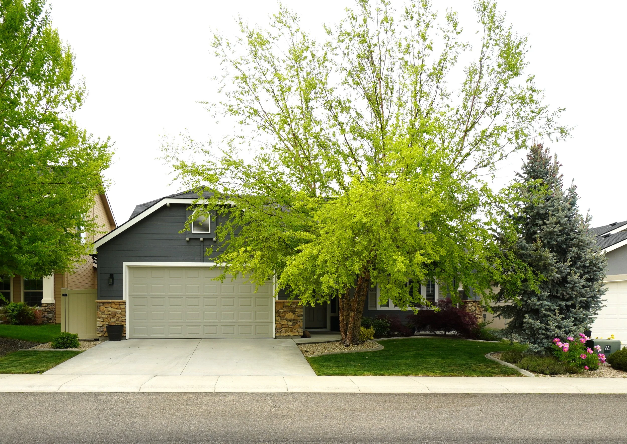 182 East Whitespur St, Meridian, ID 83642