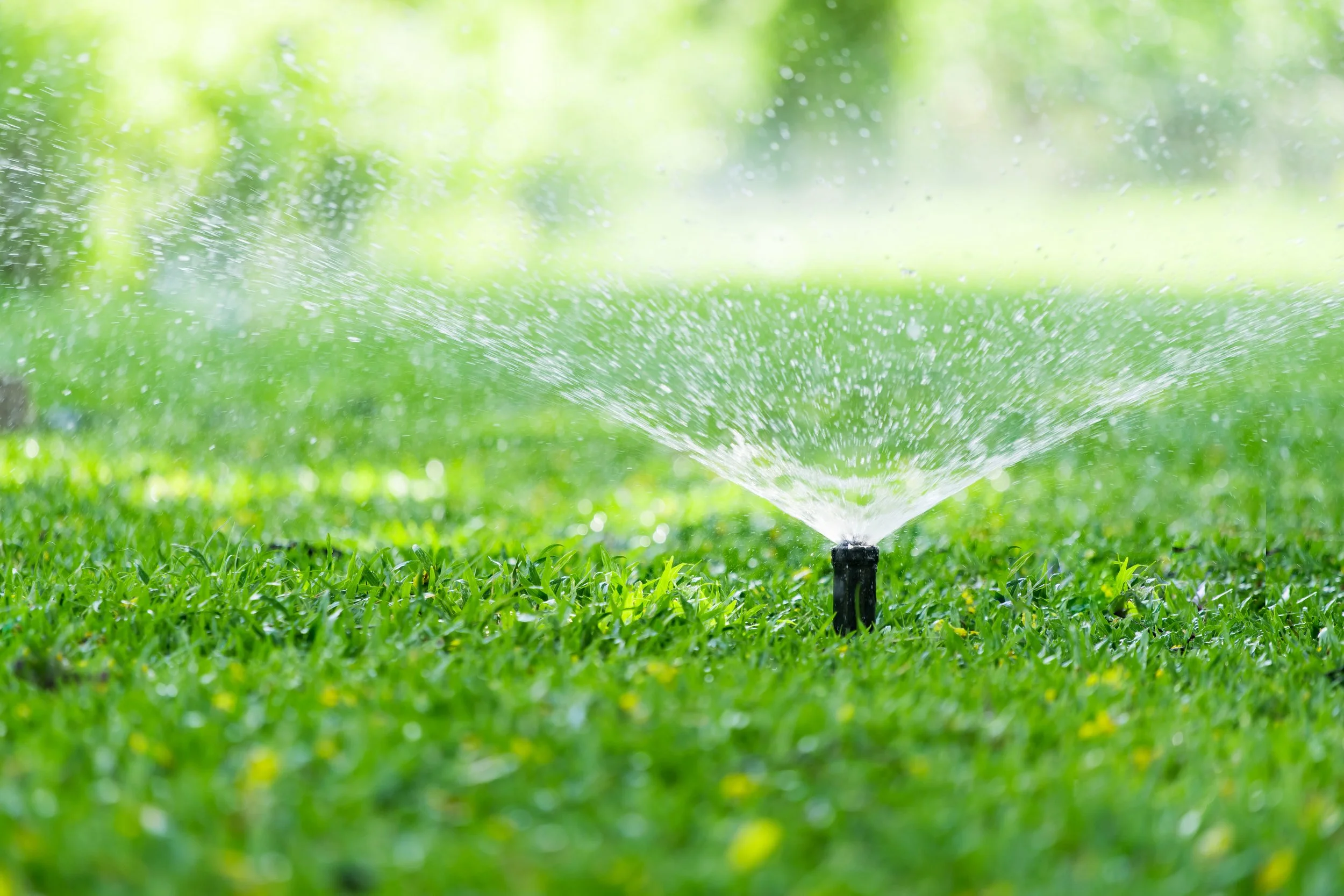 Program Your Rain Bird Sprinklers