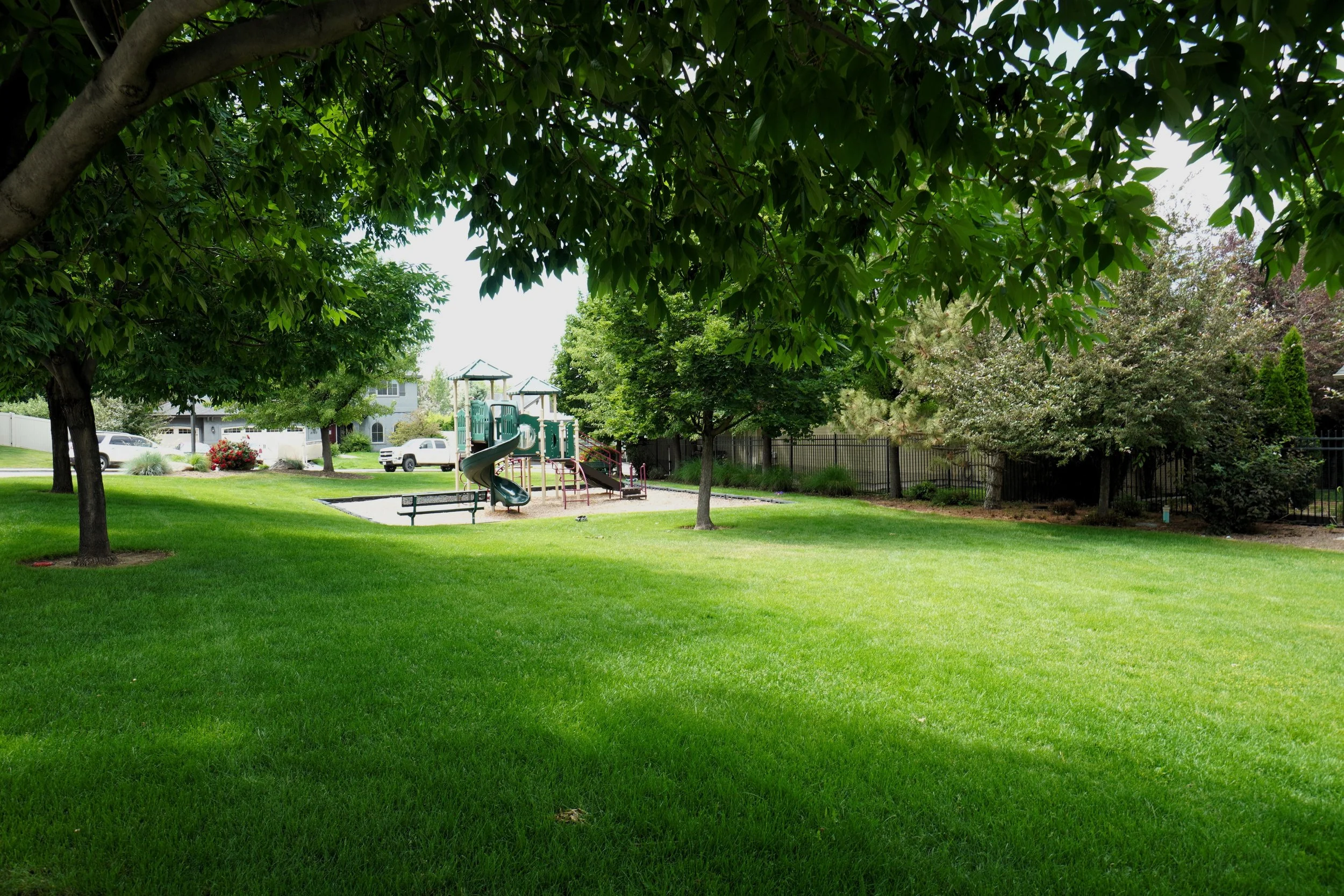 DSC07176.JPG
