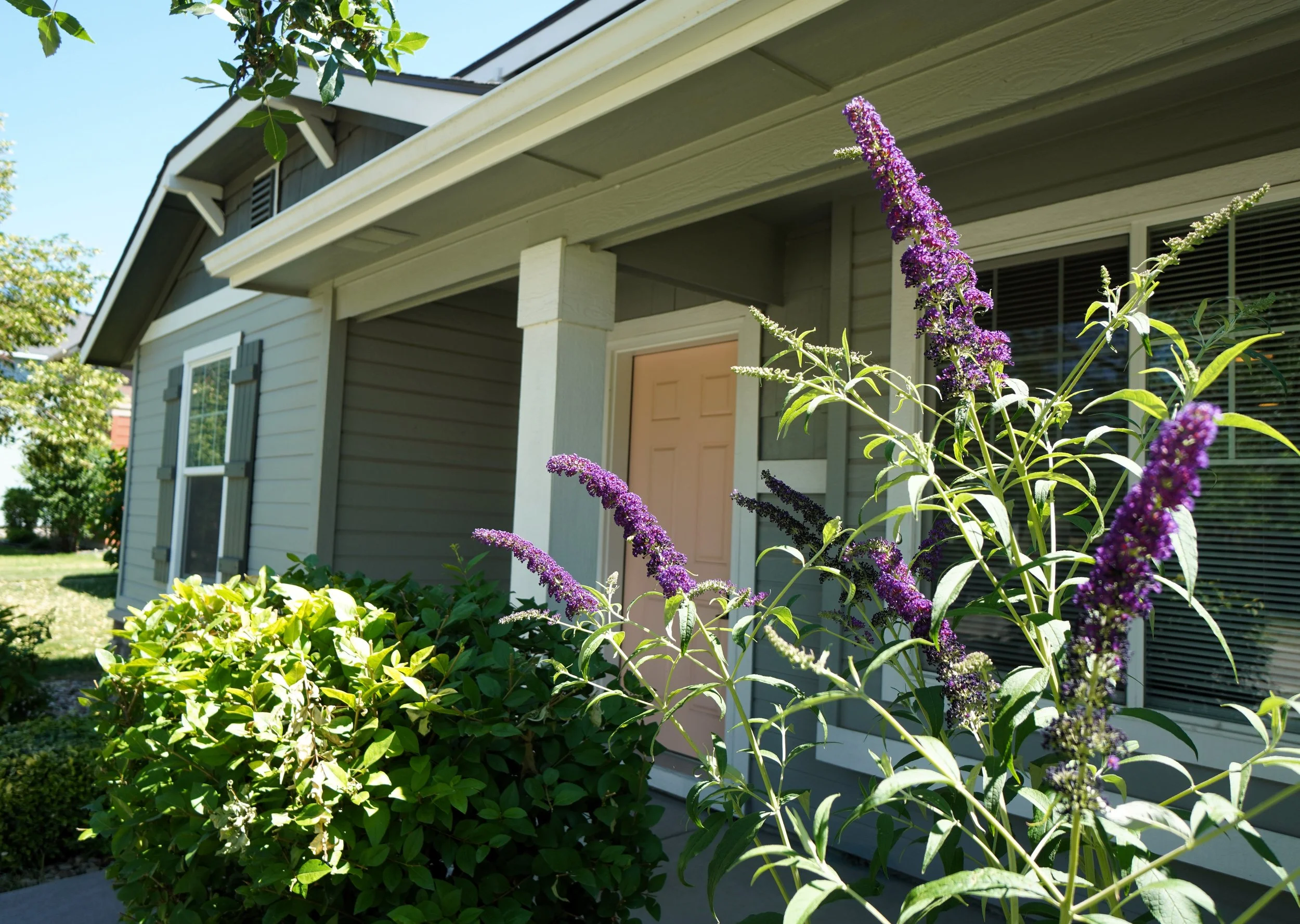 163 West Lava Falls Drive, Meridian, ID 83646