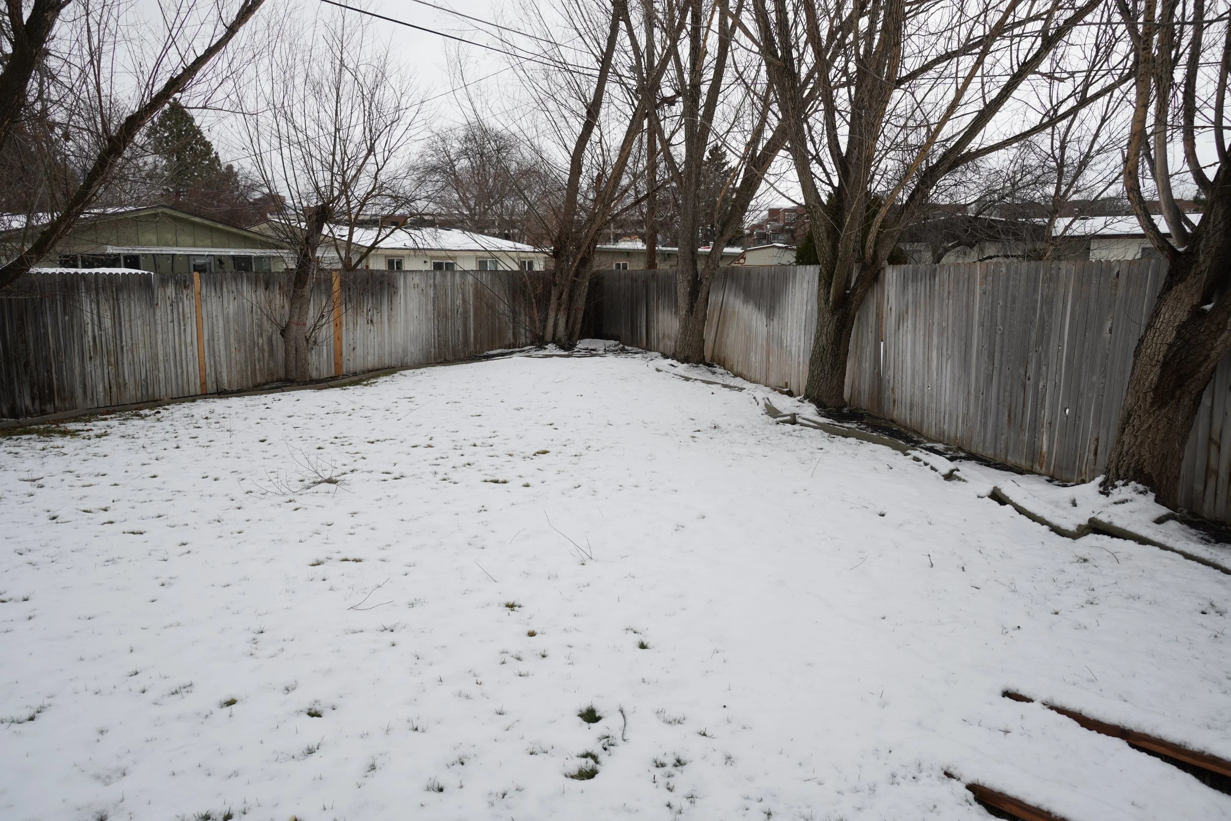 DSC08627.JPG