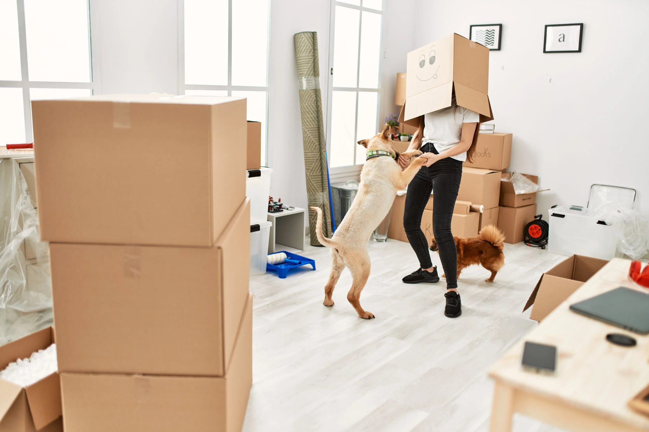 Creating a Positive Tenant Experience: 208.properties' Approach to Retention