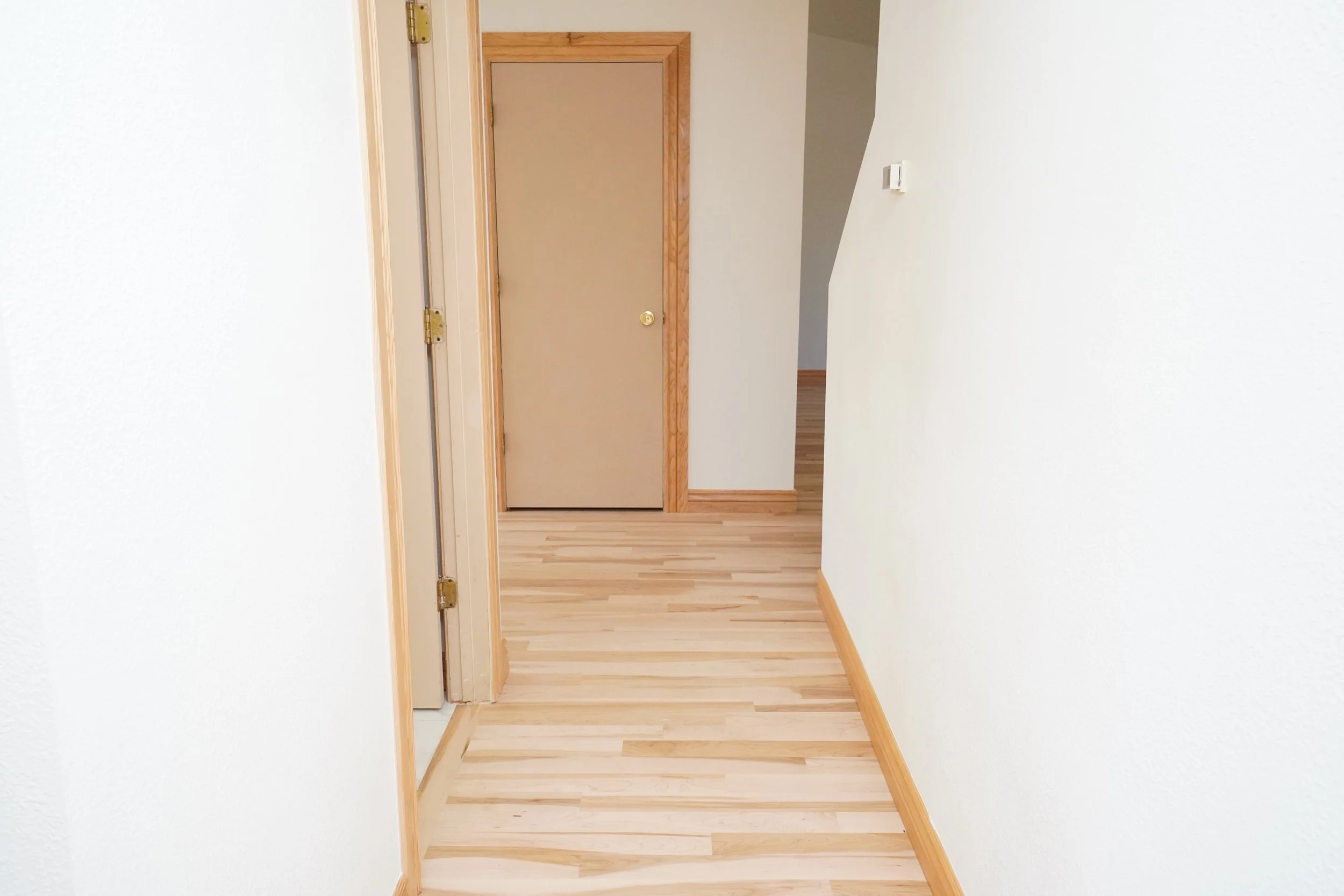 Hallway downstairs.JPG