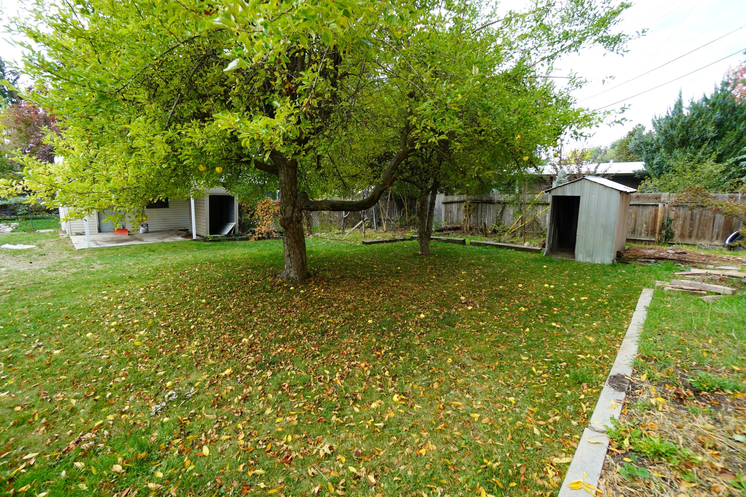 DSC07545.JPG