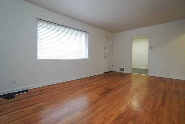 DSC08958 Medium.jpeg