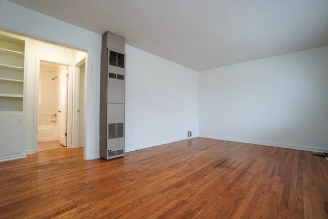 DSC08960 Medium.jpeg