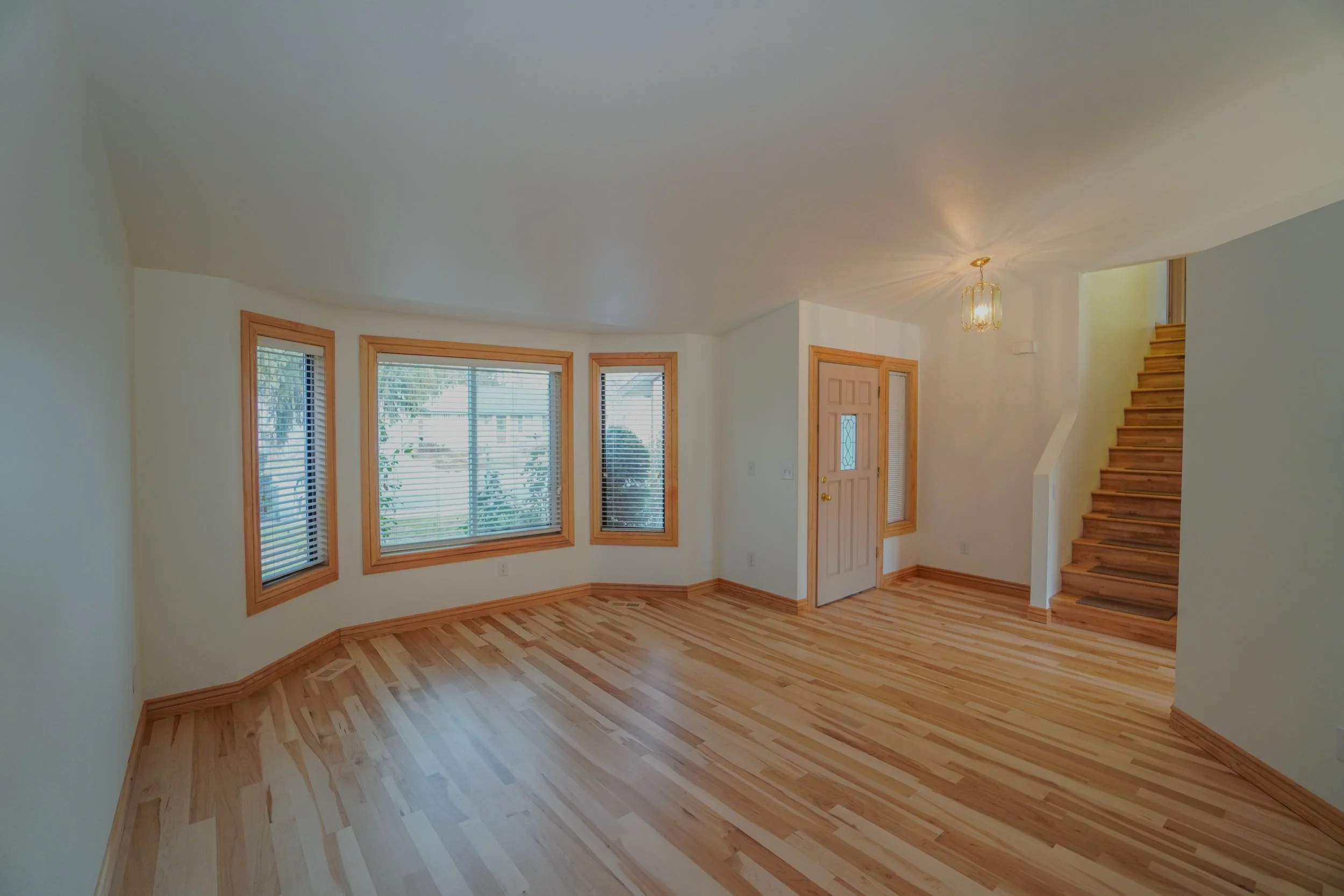 DSC08553-Enhanced-SR 2.jpeg