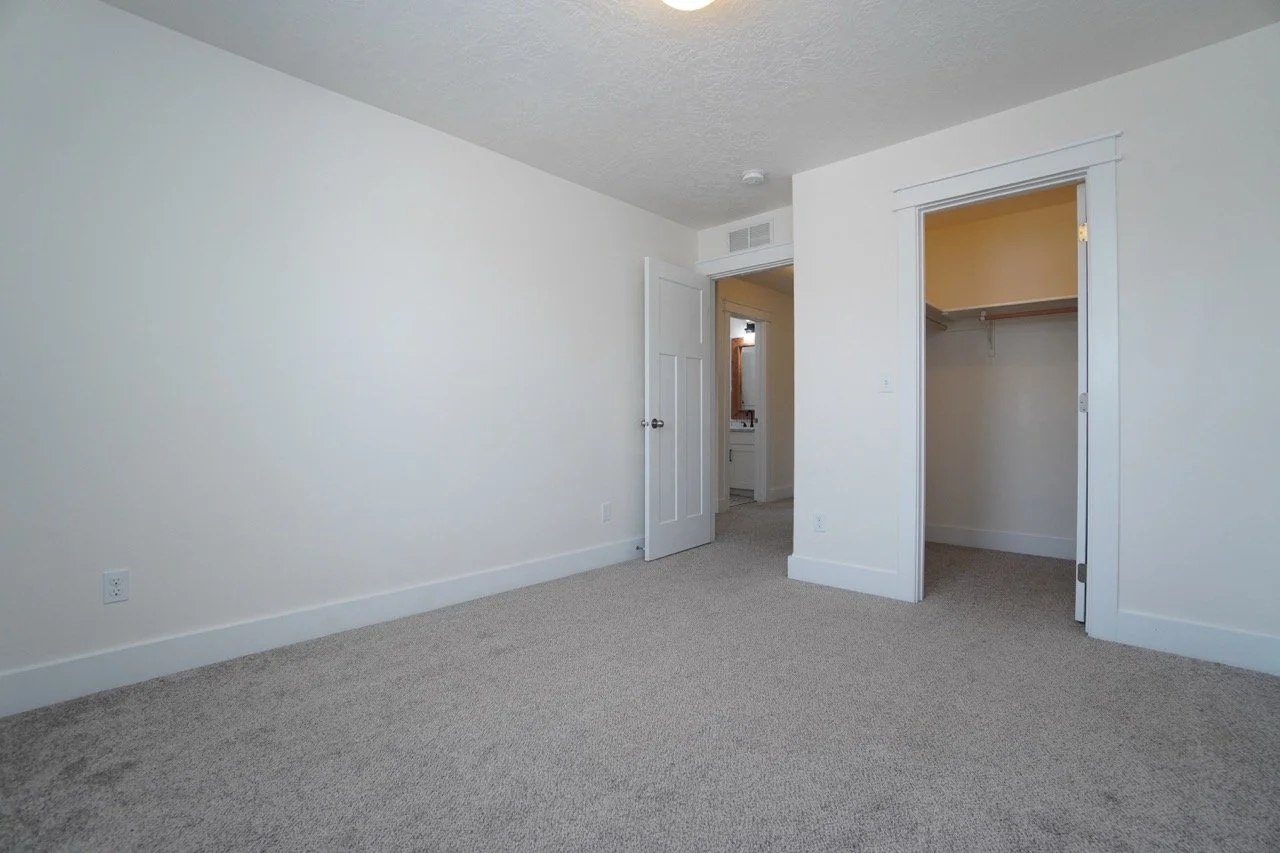 DSC01804 Large.jpeg
