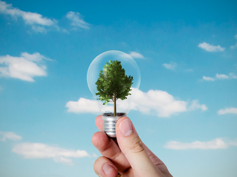 Curated visual reference: Fresh Look at Energy Efficiency Tips For Rental Homes