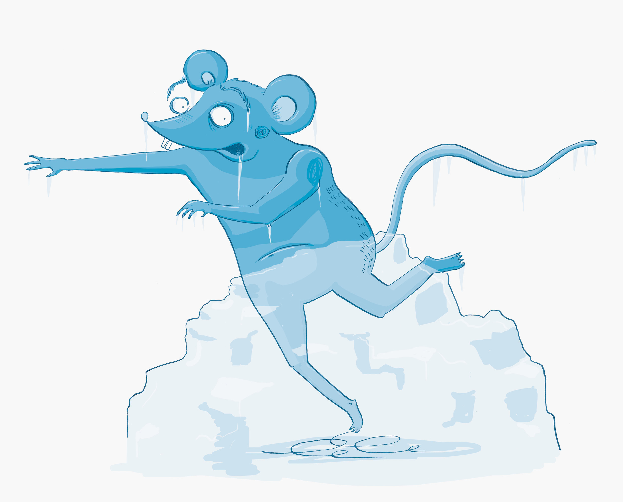 J Vallis frozen mouse.jpg