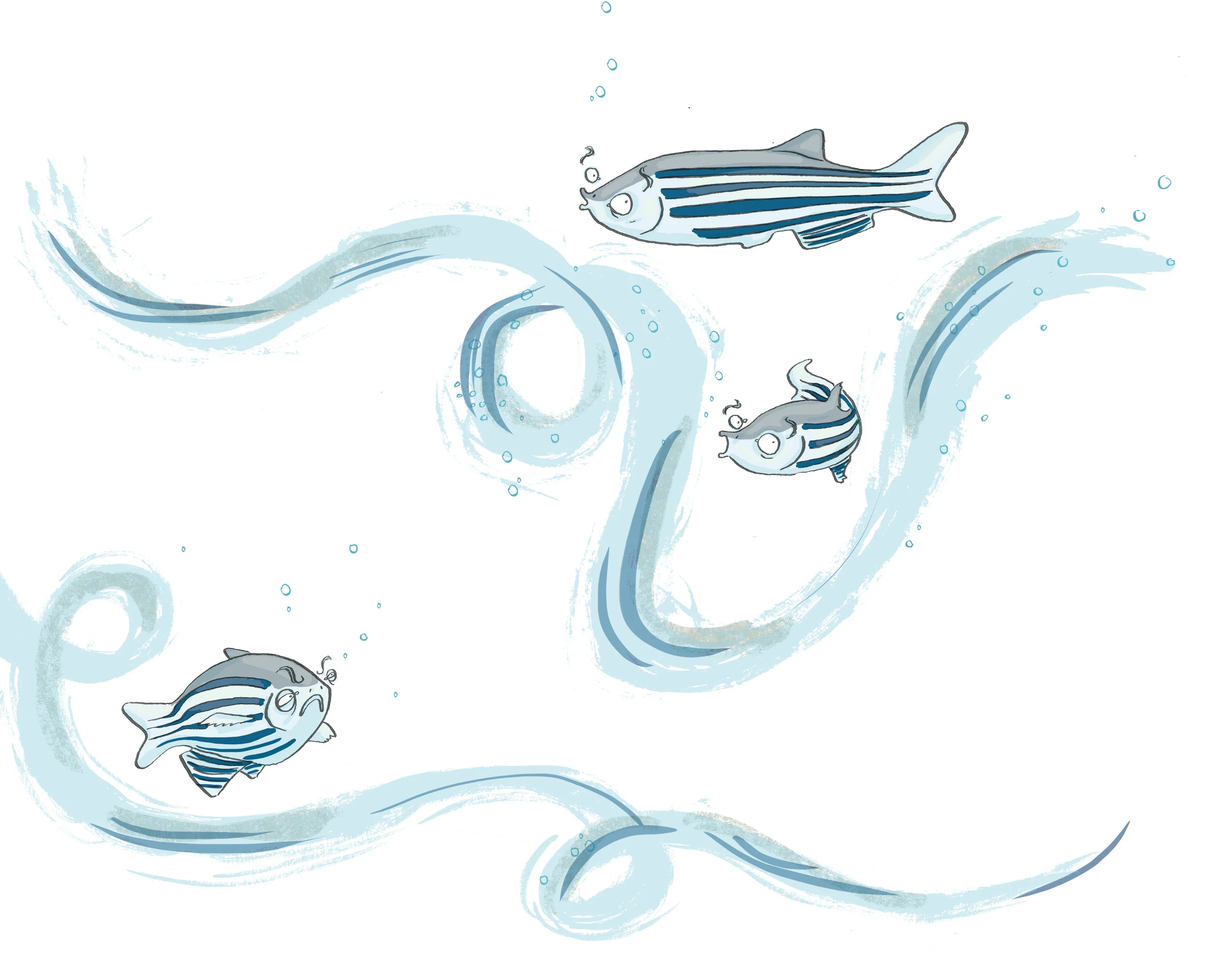 J V fish.jpg