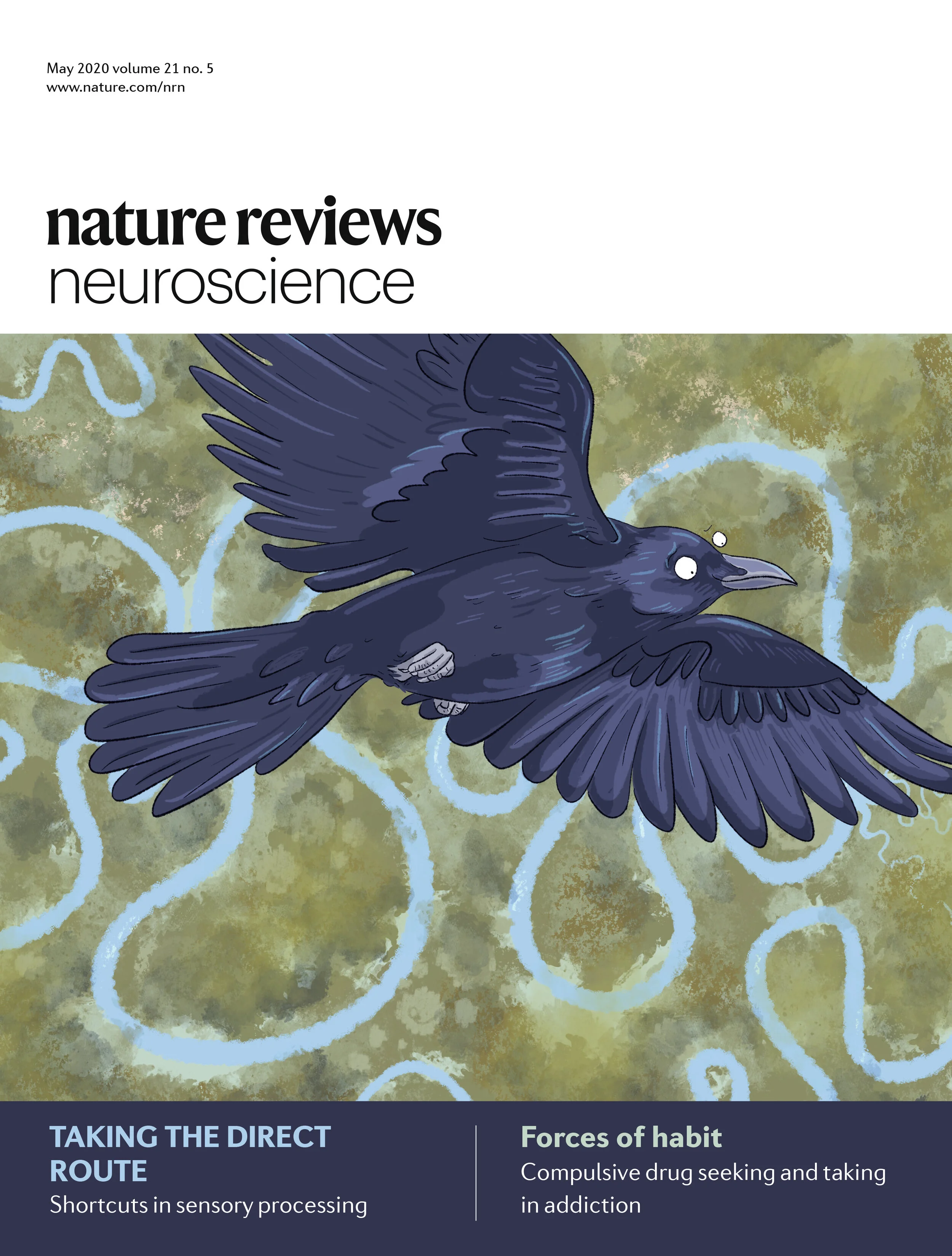 JV cover crow.jpg
