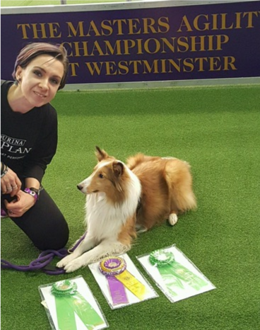 Stephanie Williams with her rescue sheltie, Mika, at their first Westminster Agility Trial. 2/11/17