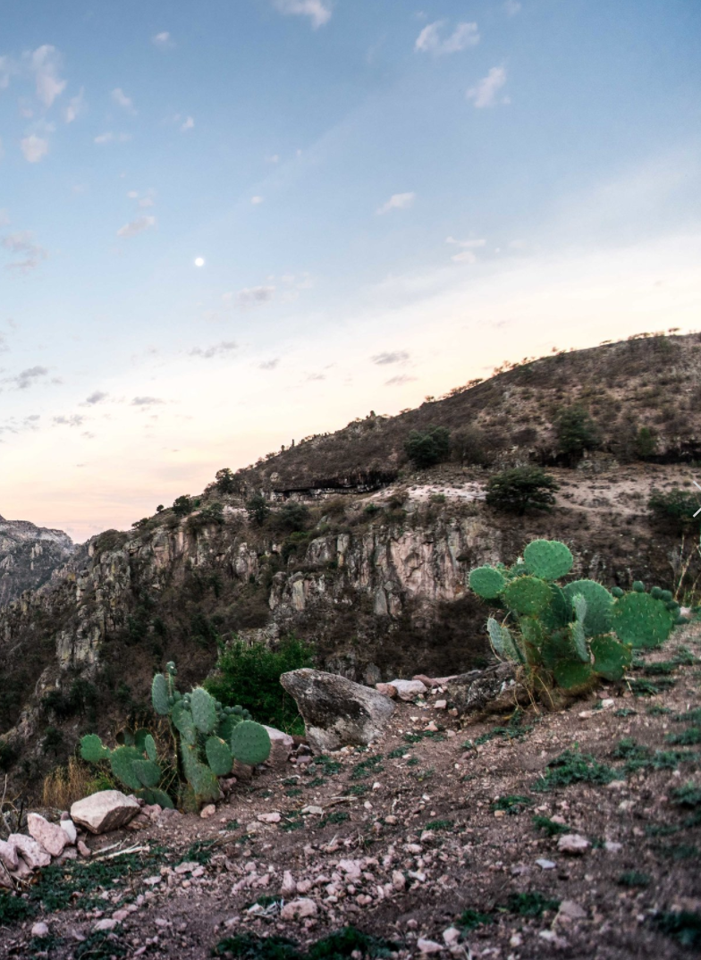 Barrancas del Cobre, Mexico