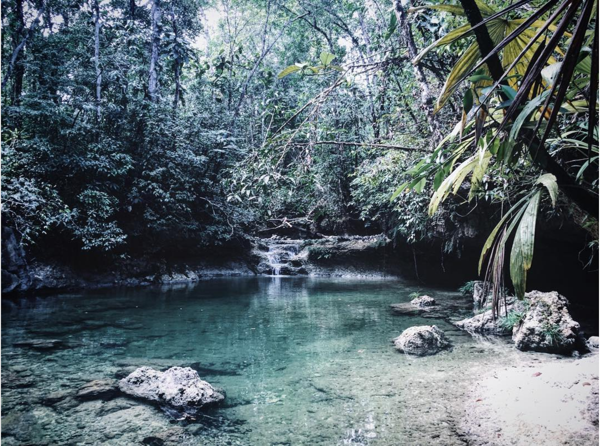 Conservation Coast, Guatemala
