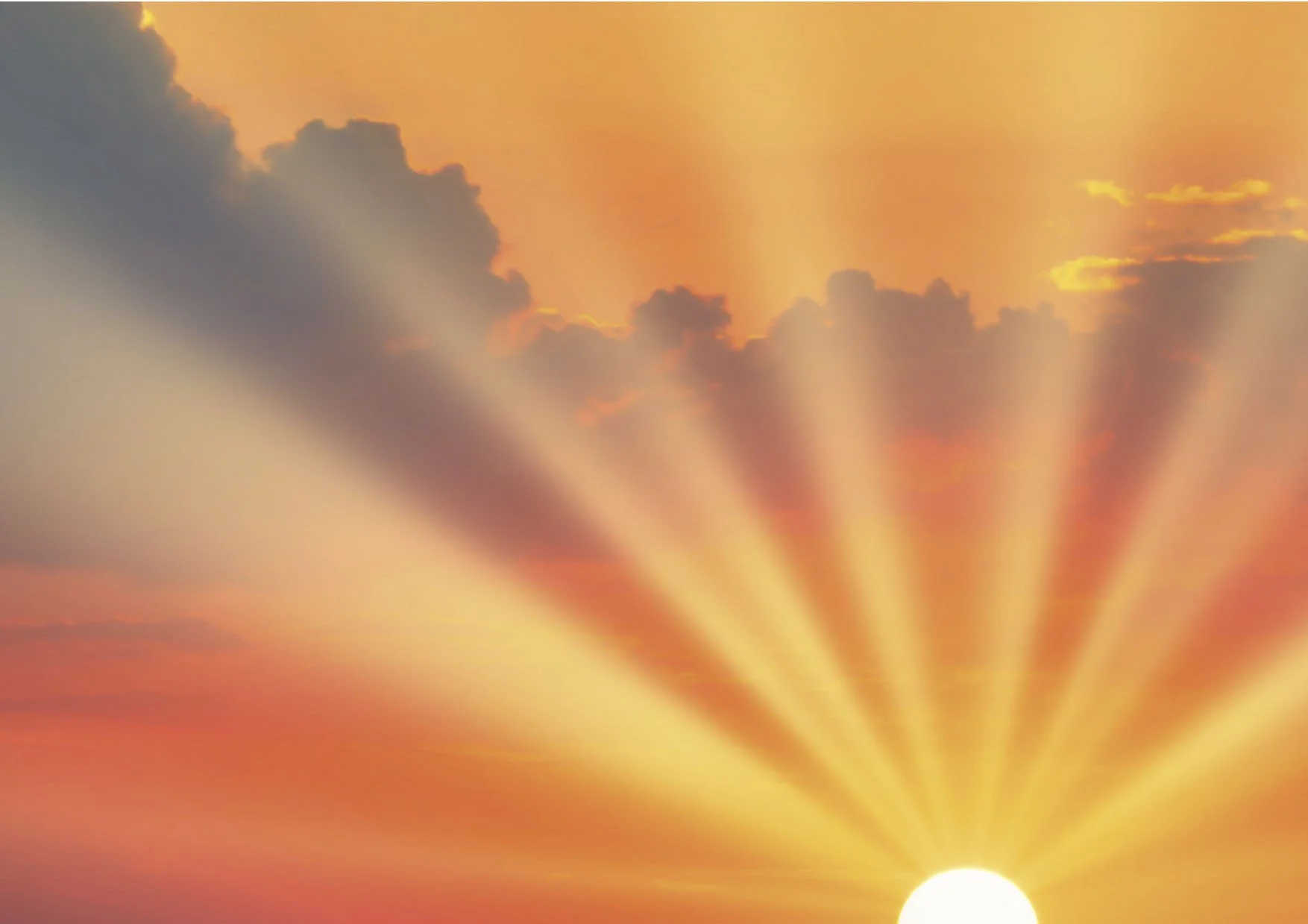 BED Cover Three Image.jpeg