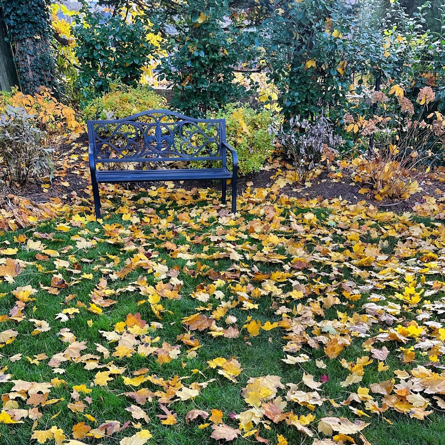 There&rsquo;s nothing like a perfectly placed bench to round off a garden corner. Beautiful colored leaves this year for thanksgiving! 🍁 🍂 

#confidentlyelegant #newyorkhomedecorator #newrochellehomedecorator #larchmonthomedecotator #westchesterhom