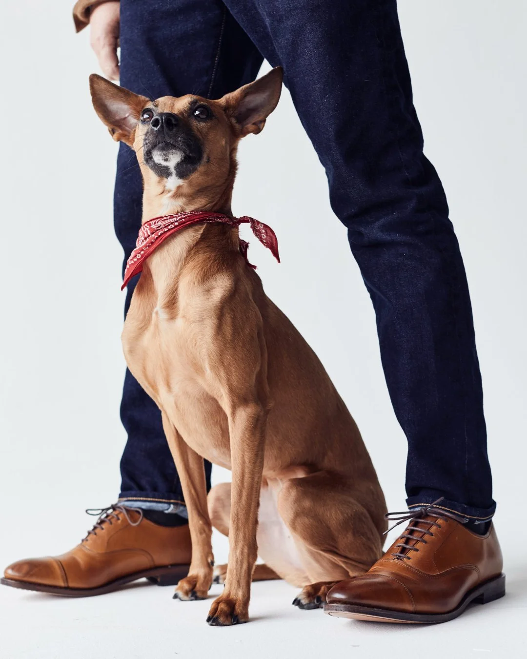 Craig Honeycutt - 64Slide 04 - Close Shoe.jpg