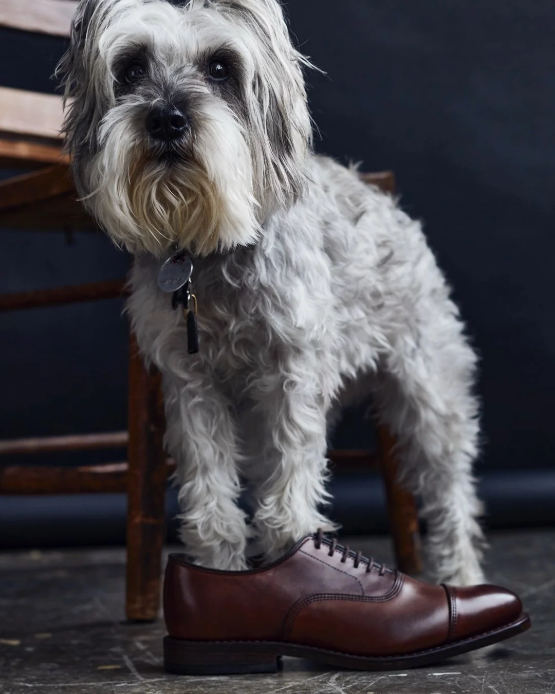 Stephen Lee - 62Slide 04 - Close Shoe.jpg