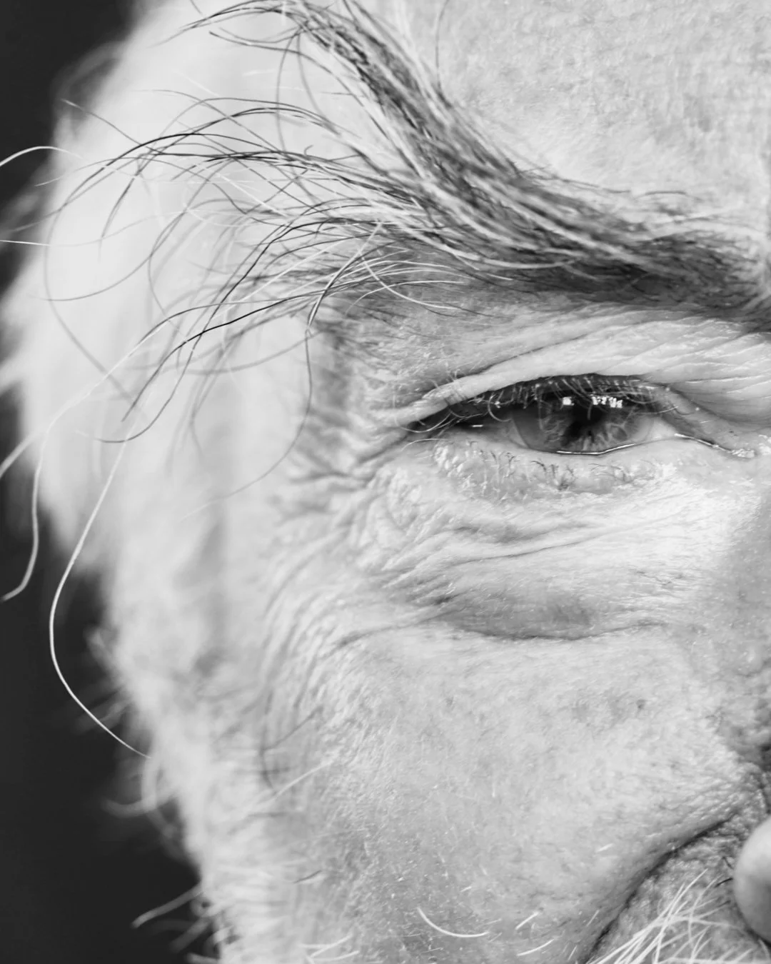 Tom White -28 Slide 01 - Close Face.jpg