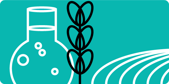 Agrochemicals Embedding an IT implementation without fuss